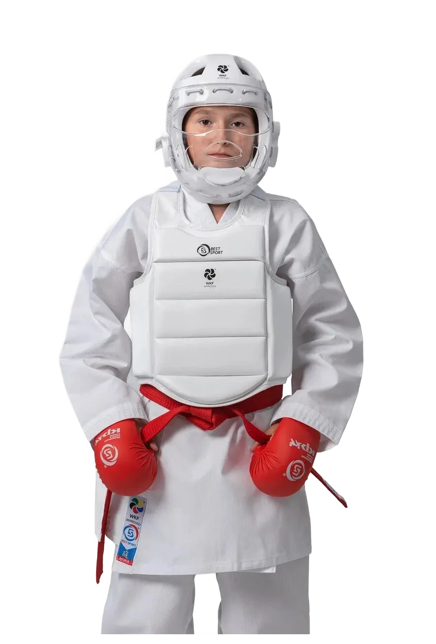Body protector (outside) for karate 3